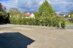 Photo 27- click for photo gallery